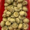 Champiñones 1/4